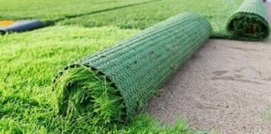 How Much Does It Cost to Lay Artificial Grass?