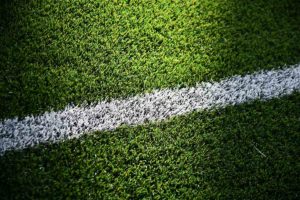 What is Artificial Lawn That Used in AstroTurf?