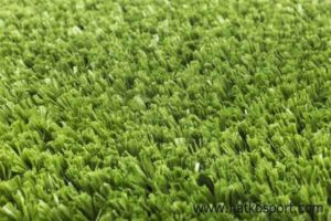 What is Artificial Lawn That Used in AstroTurf?