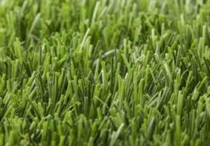 Why should an Astro Turf Constructed in to Schools?