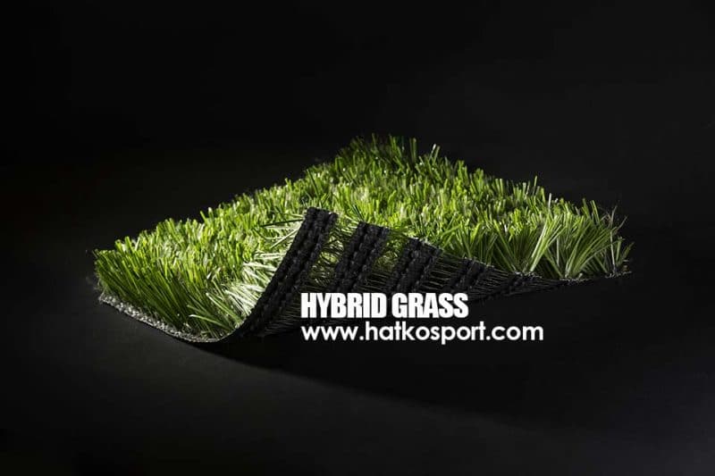 Hybrid Grass