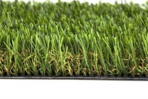 football ground grass