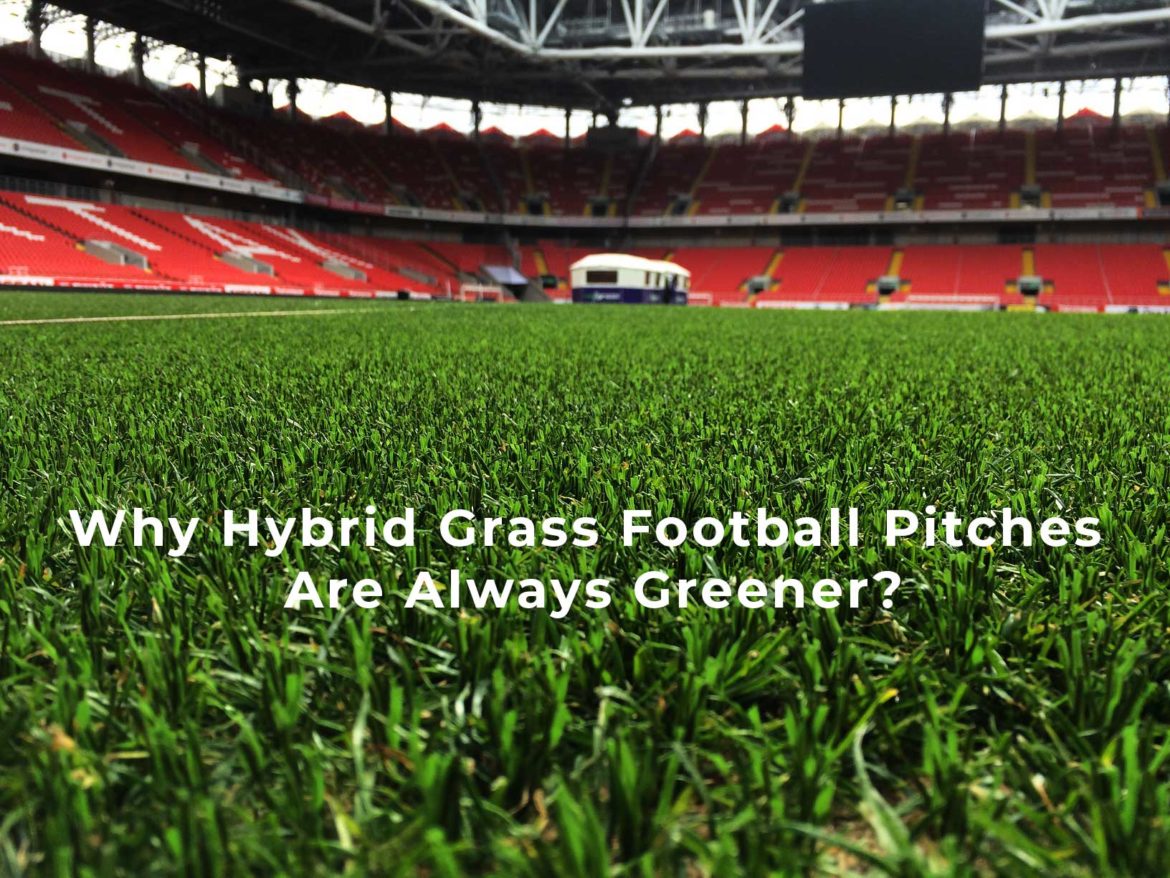 Why hybrid grass football pitches are always greener?