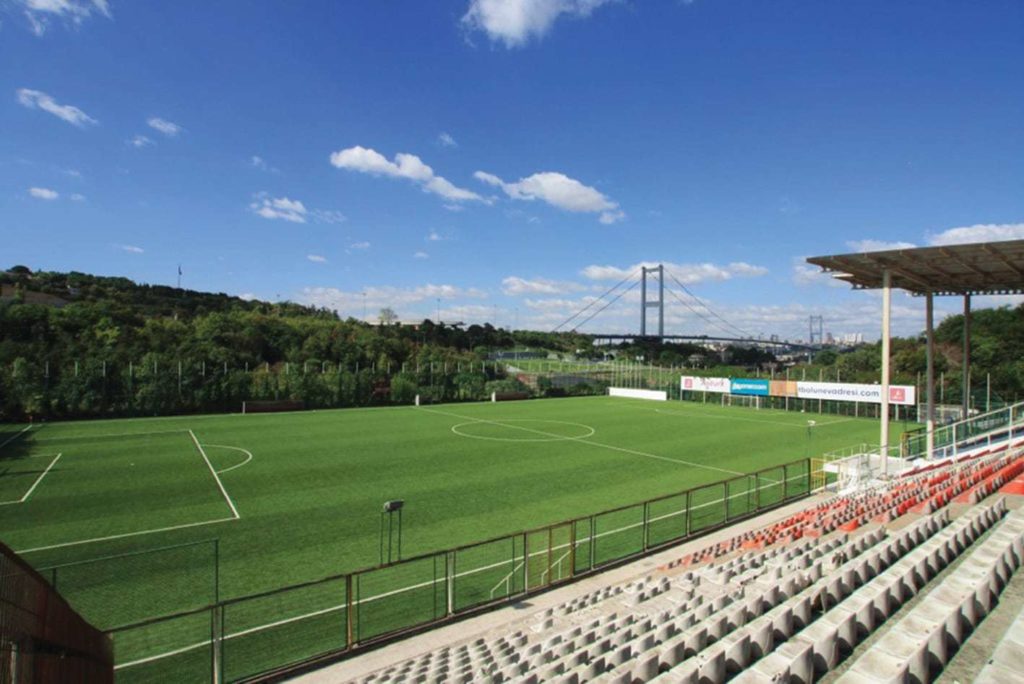 Football Grass