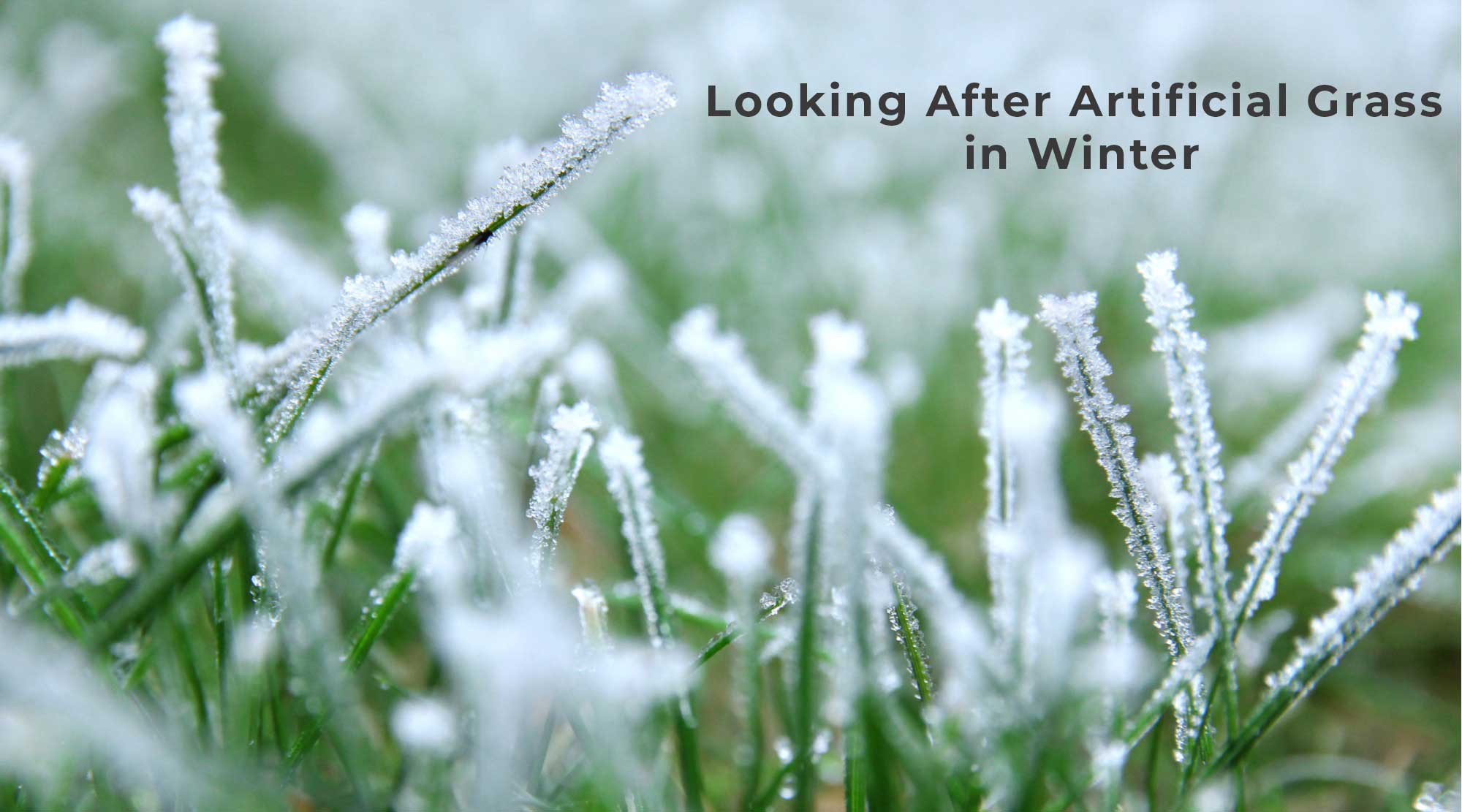 Looking After Artificial Grass in Winter