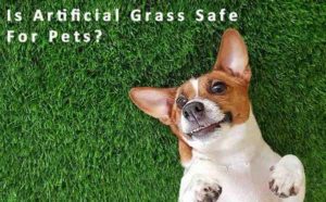 Is Artificial Grass Safe For Pets