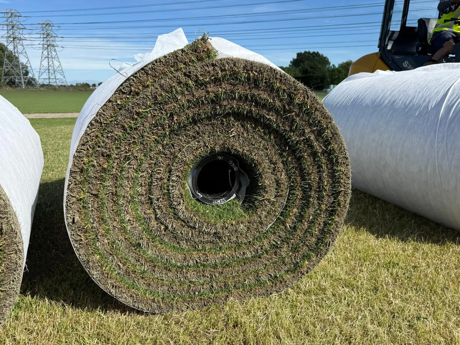 One-New-Zealand-Stadium-rolls